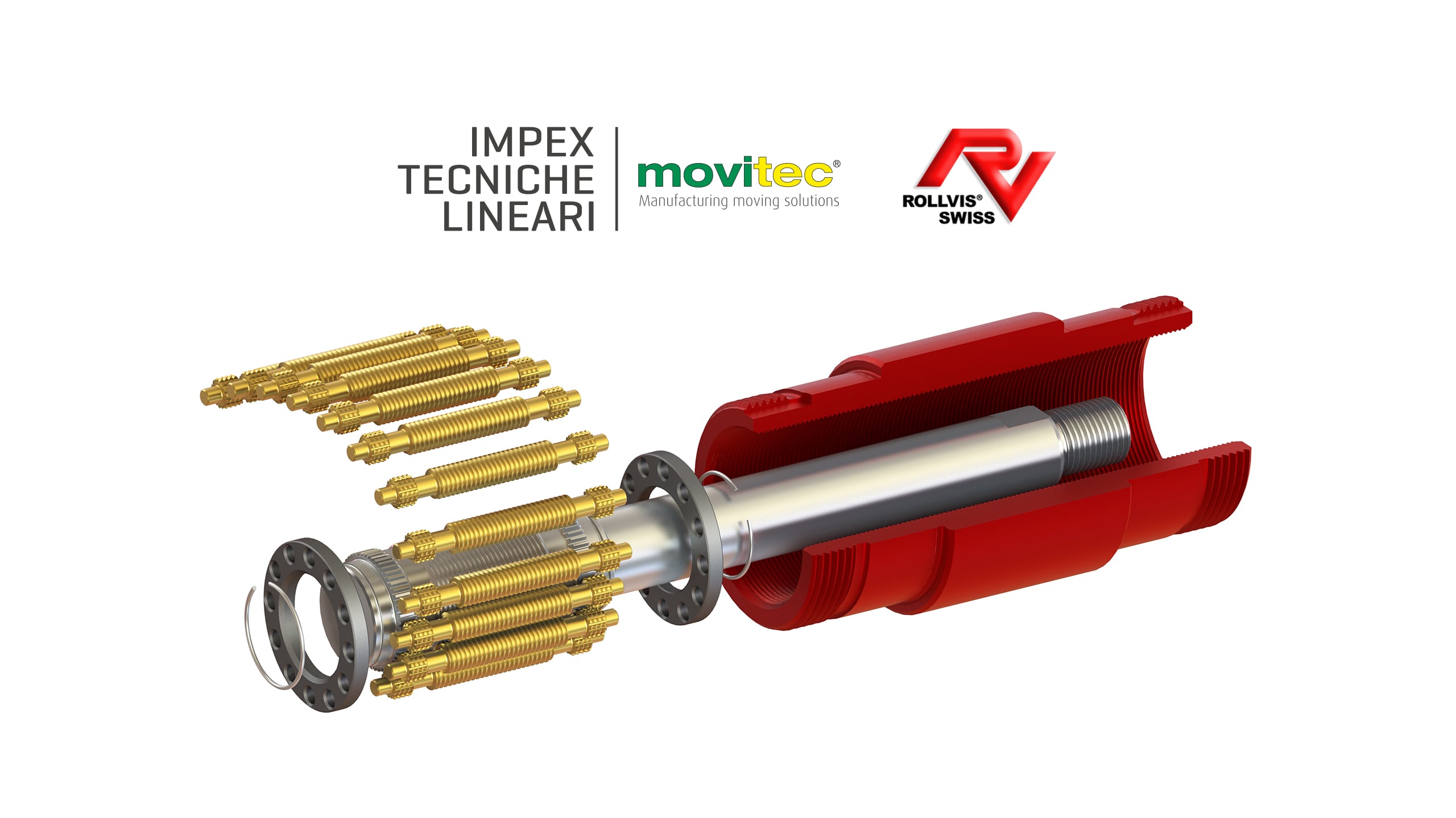 Dalla teoria alla pratica: la partnership IMPEX – Rollvis SA